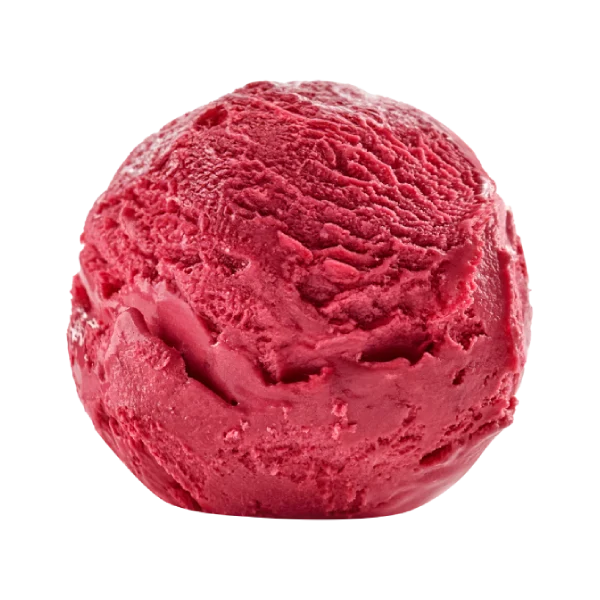 Raspberry sorbet from the Lady Coco menu